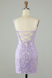 Lilac Mini Tight Homecoming Dress with Appliques